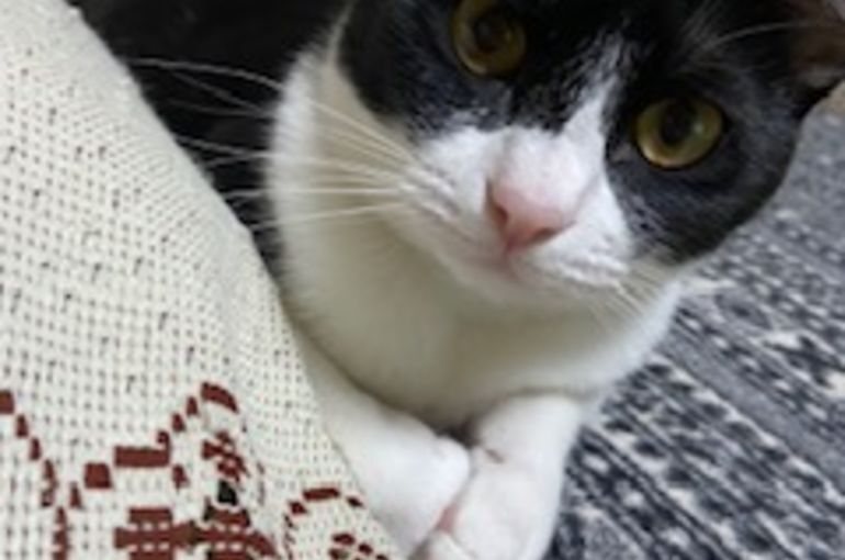 1年4ケ月経ちました～